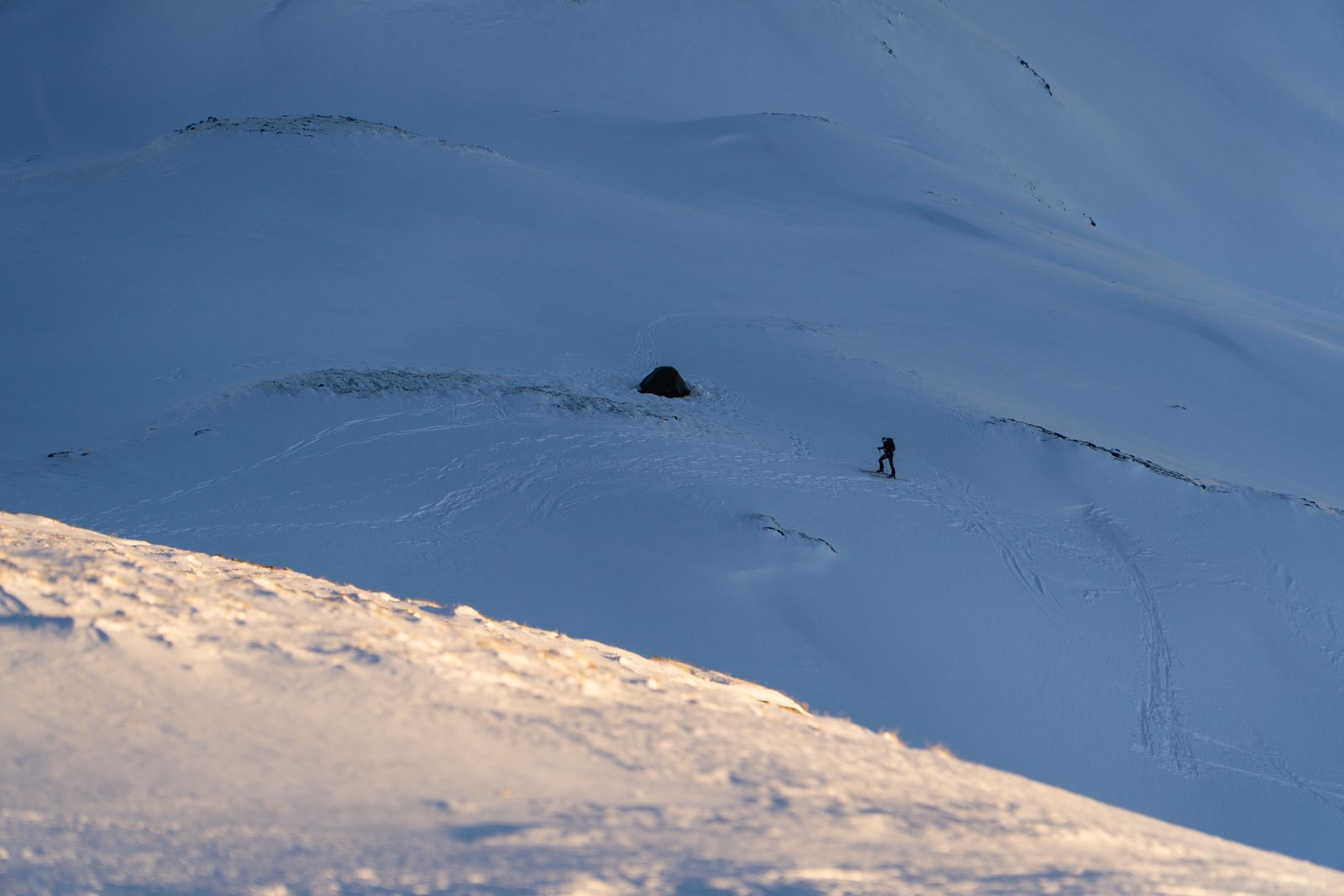 Revelstoke Mountain Resort ski guide